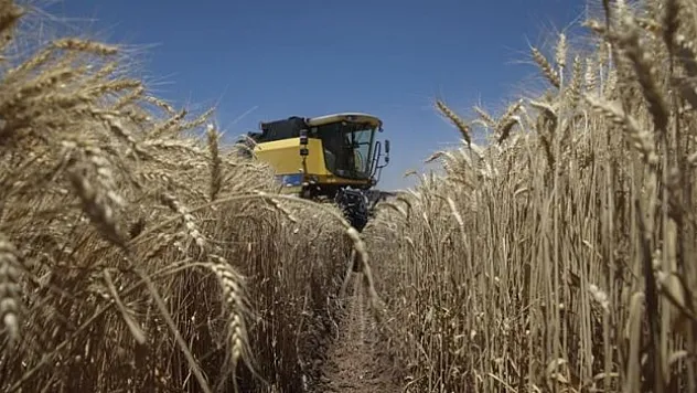 Tarım ÜFE mayısta aylık bazda yüzde 0,91 azaldı