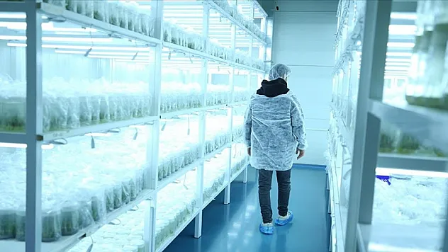 Süs bitkilerine artan talep, üretim ve ihracat hedefini yükseltti