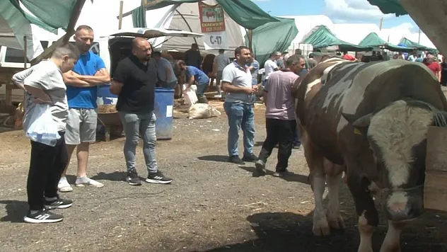 Kurban pazarlarında Arefe günü yoğunluğu