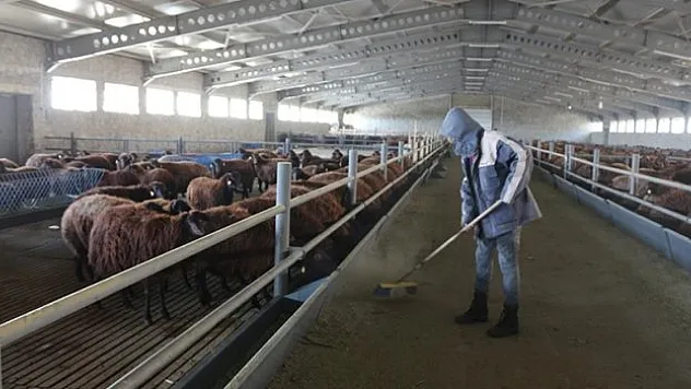 1820 kişiye istihdam sağlandı