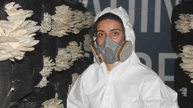 Mantar üretmeye başladı