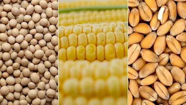 Emtia piyasası geçen hafta iç açıcı bir performans sergilemedi