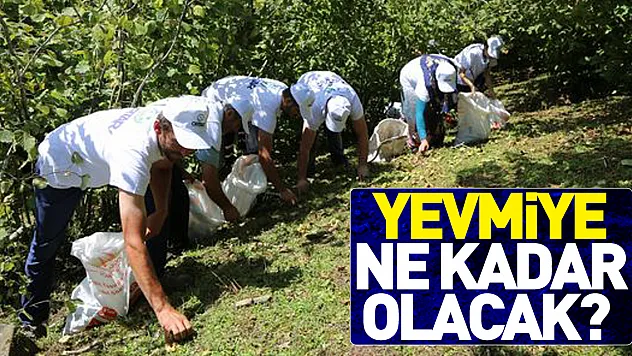 YEVMİYE NE KADAR OLACAK?