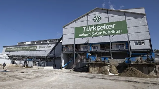 Şeker pancarı tohumları gelecek yıl toprakla buluşacak