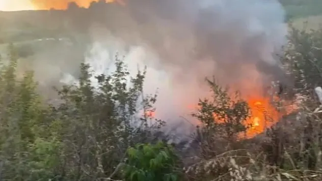 Otluk alanda yangın