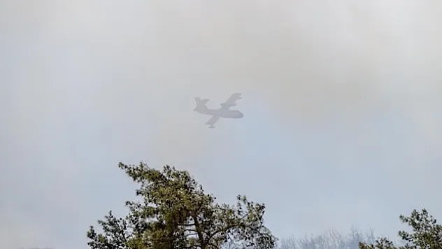 Orman yangınına müdahale