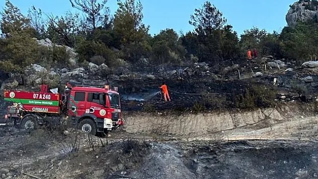 Antalya'da çıkan orman yangını söndürüldü