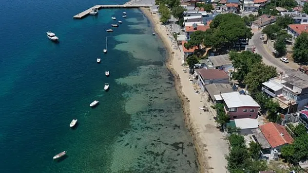 Koruma altındaki deniz çayırlarını söktürdüler