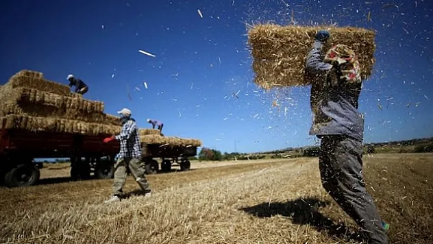 Buğday üreticisi verimden memnun