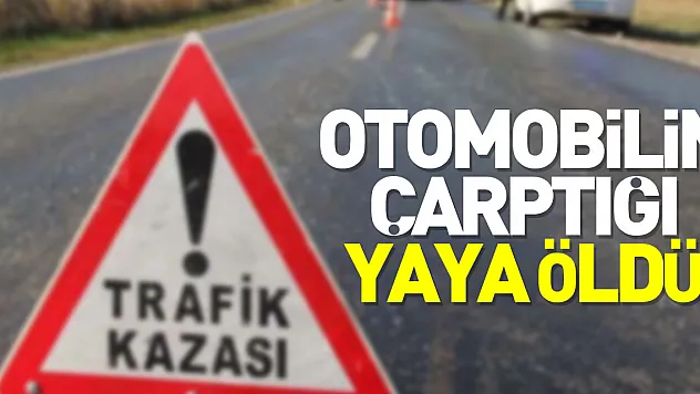 Otomobilin çarptığı yaya öldü