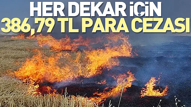 Her dekar için 386,79 TL para cezası