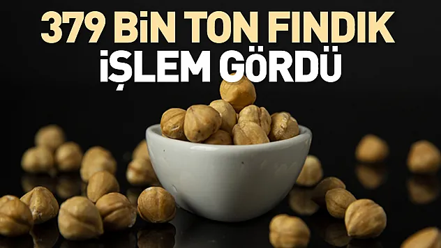 379 bin ton fındık işlem gördü