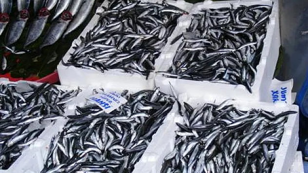 Hamsinin fiyatı tavan yaptı