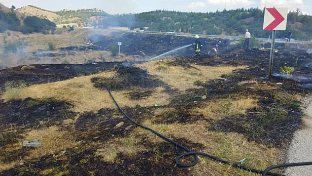 D-100 karayolunda yangın