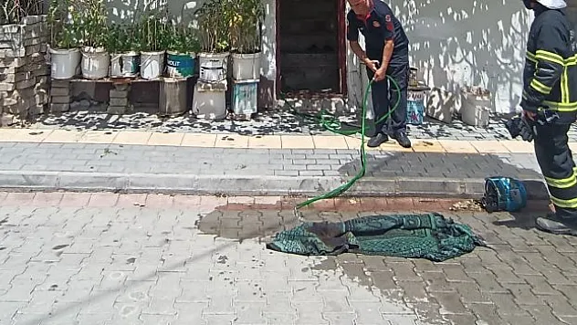 Tüp patlamasıyla alevler yükseldi