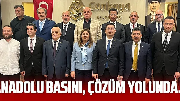 Anadolu Basını, Çözüm Yolunda…