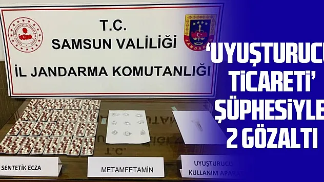 Jandarma, uyuşturucu ticareti yapılan araçtaki 2 kişiyi gözaltına aldı