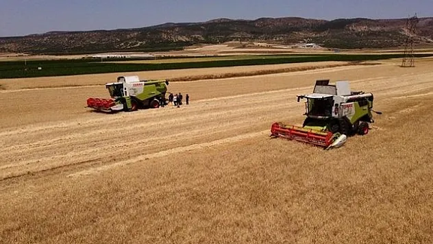 TMO, 2 milyon tonun üzerinde buğday ve arpa aldı