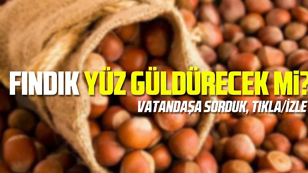 Fındık yüz güldürecek mi?