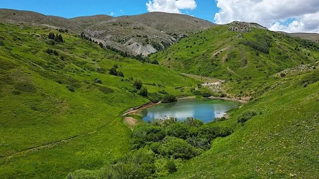 Kop Dağı zengin bitki örtüsüyle öne çıkıyor