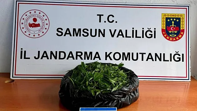 Jandarma 5.5 kilo kubar esrar ele geçirdi