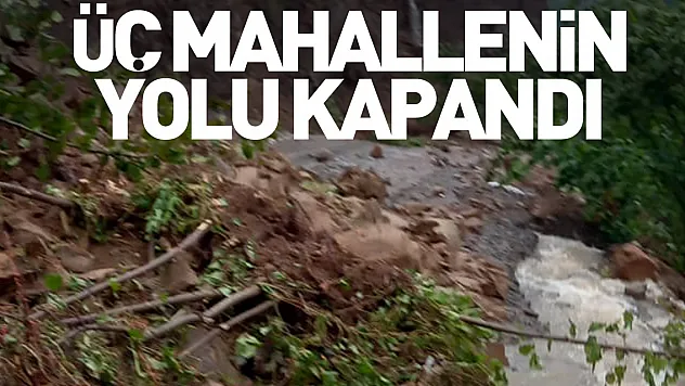 ÜÇ MAHALLENİN YOLU KAPANDI