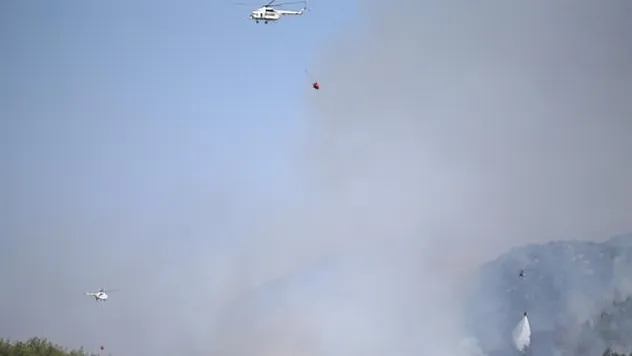 Bodrum'da orman yangını çıktı