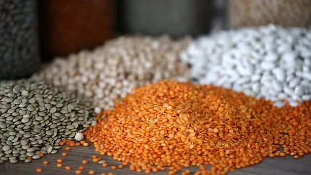 1,6 milyar dolarlık hububat ve bakliyat ihracatı