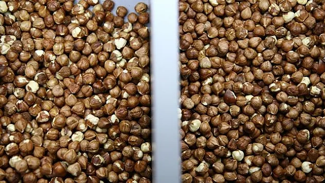 Türkiye, 307 milyon dolarlık fındık sattı