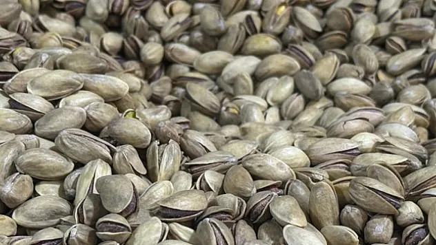 6 ayda 96,6 milyon dolarlık fıstık ihraç edildi