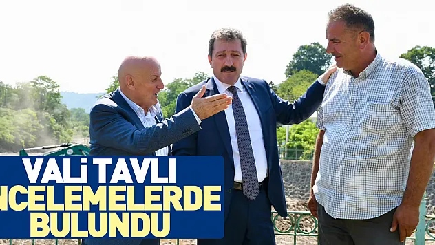 Vali Tavlı incelemelerde bulundu