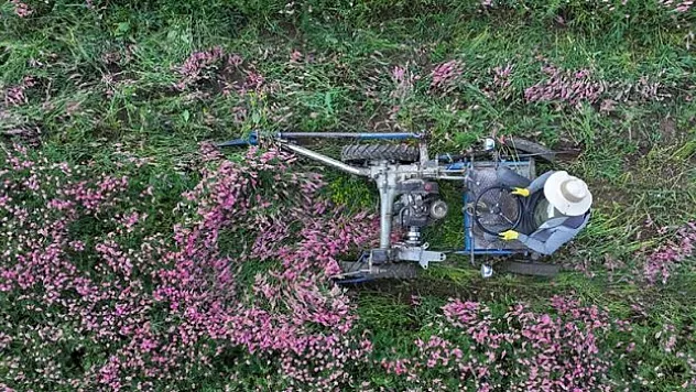 Yılın ilk yarısında rekor