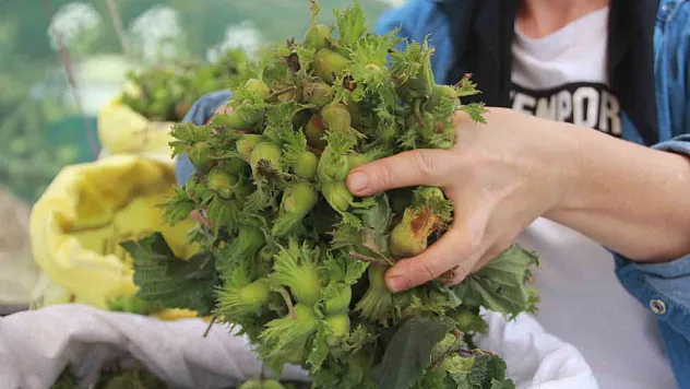 Tezgahlarda: Kilosu 100 TL