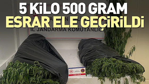 5 kilo 500 gram esrar ele geçirildi