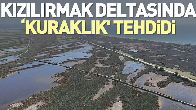 Deltada 'kuraklık' tehdidi