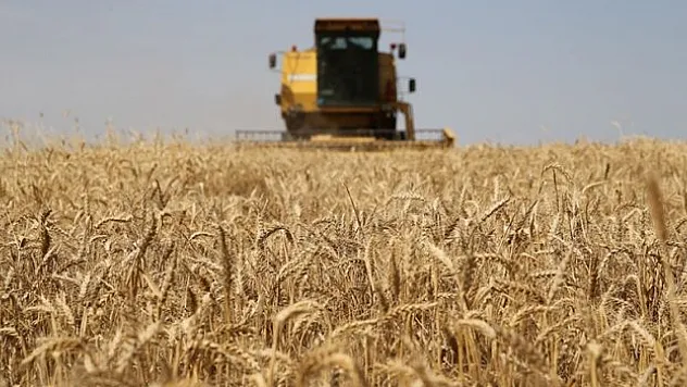 119,1 milyon lira aktarıldı