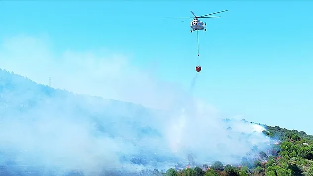 Pendik'te ormanlık alanda çıkan yangına müdahale ediliyor
