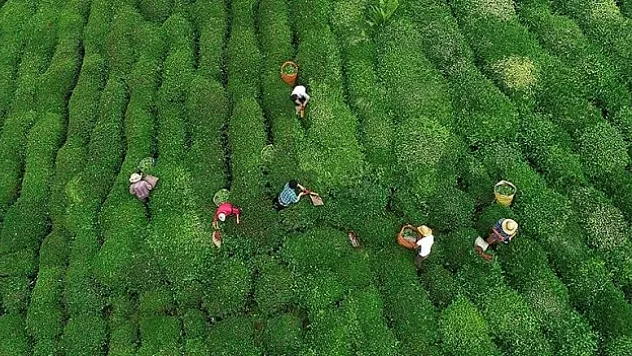 Yarından itibaren serbest alım
