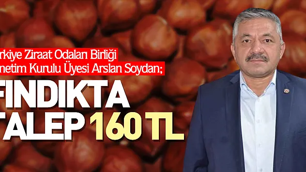 Fındıkta Talep 160 TL