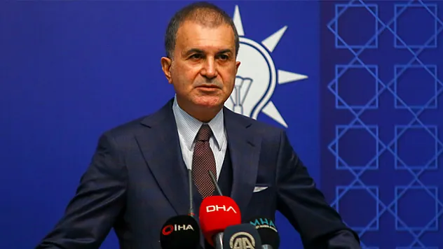 Çelik'ten sokak köpeklerine ilişkin açıklama