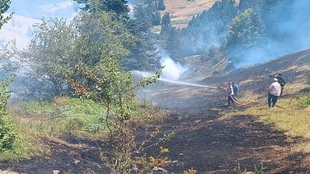 Ormanlık alanda yangın çıktı
