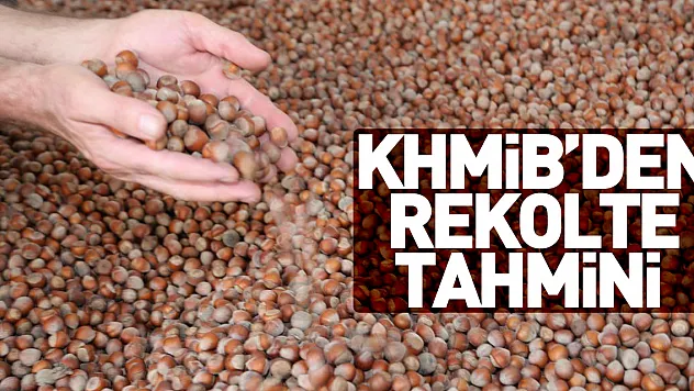 KHMİB'DEN REKOLTE TAHMİNİ