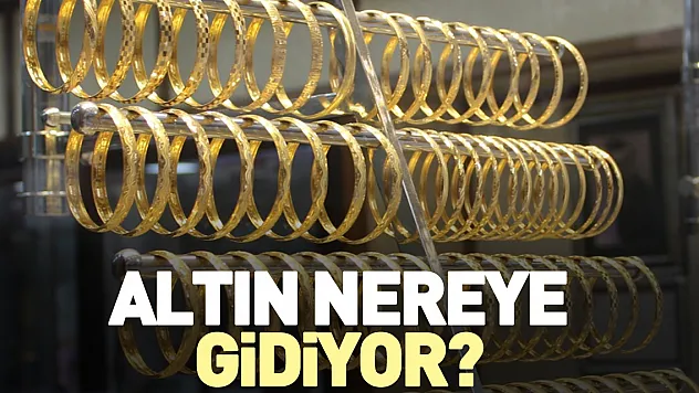 Altın Nereye Gidiyor ?