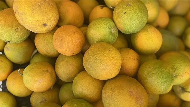 Türkiye'den 504 milyon 429 bin dolarlık turunçgil ihraç edildi