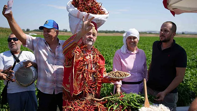 Karaağaç biberinde hasadı geciktirdi