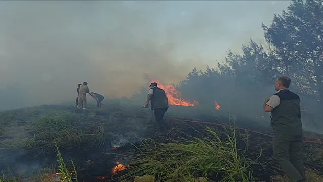 ADANA'DA ORMAN YANGINI