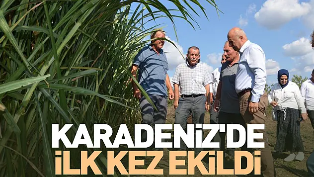 Karadeniz'de ilk kez ekildi
