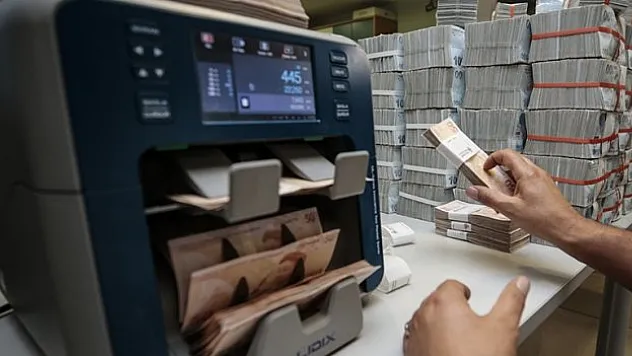 Bankacılık sektörünün mevduatı geçen hafta arttı