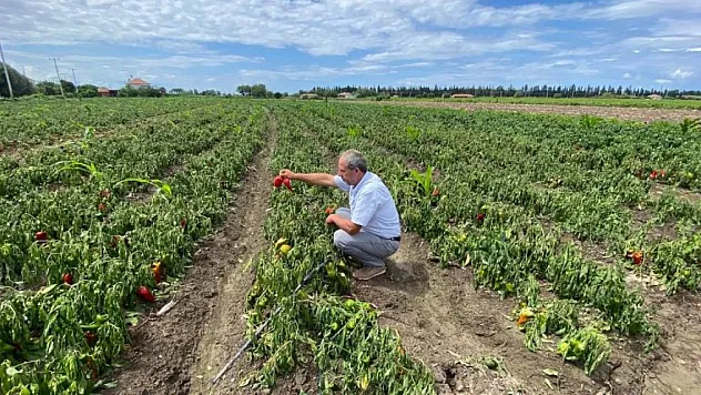 'Zararımız çok büyük'