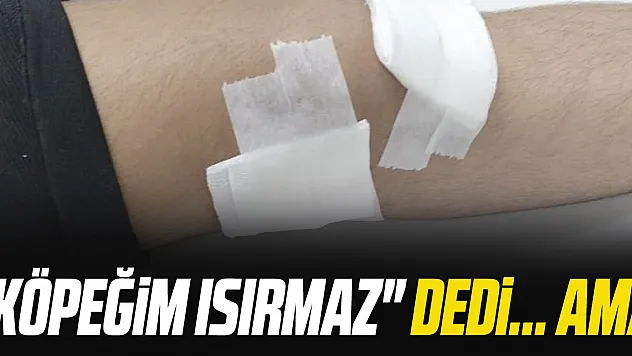 'KÖPEĞiM ISIRMAZ' DEDi... AMA